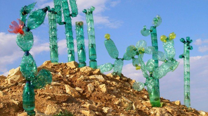 pollution plastique cactus