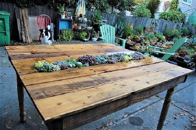 palette bois table jardin